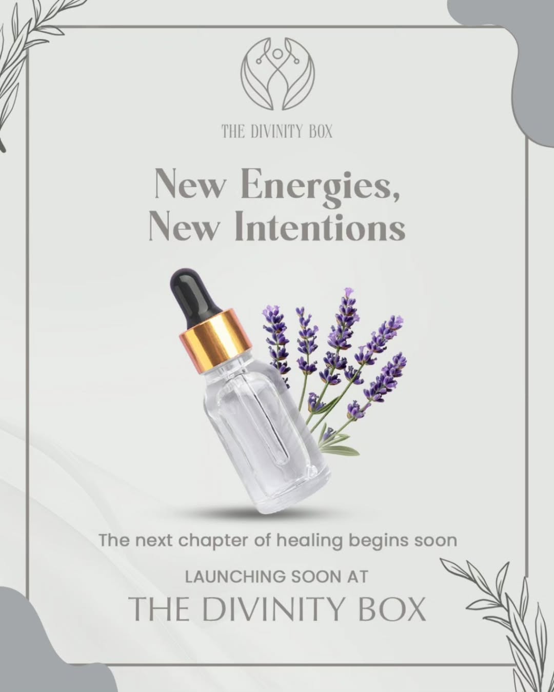 The Divinity Box – My Store